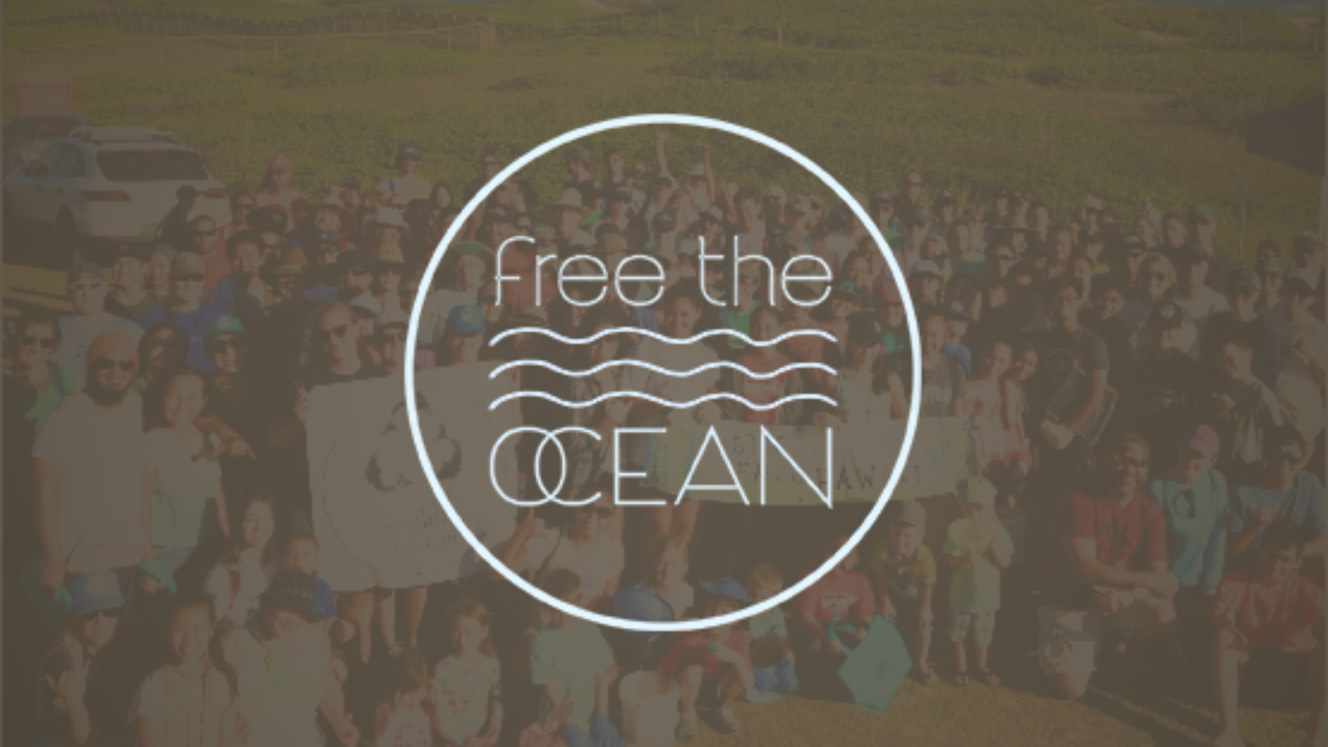 free the ocean