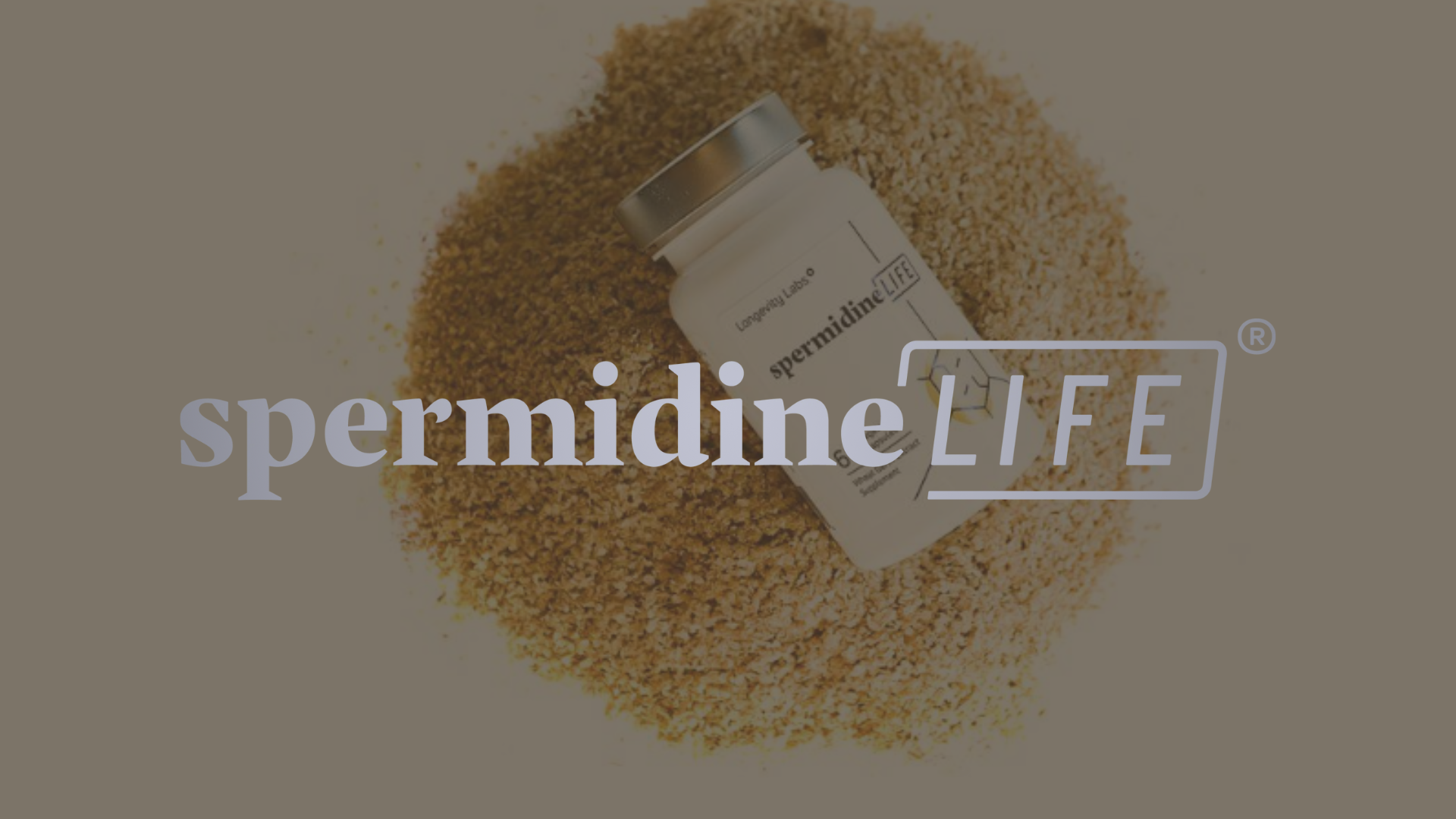 spermidine