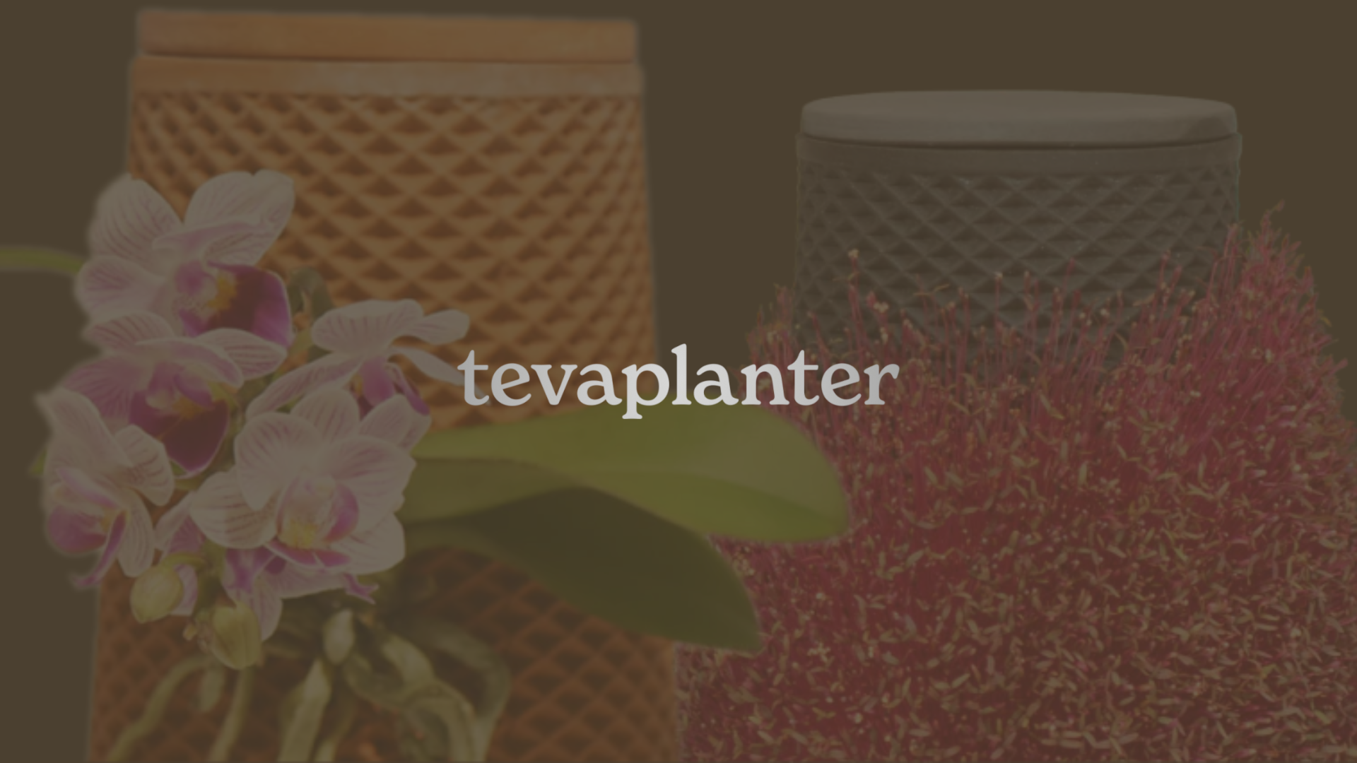 tevaplanter