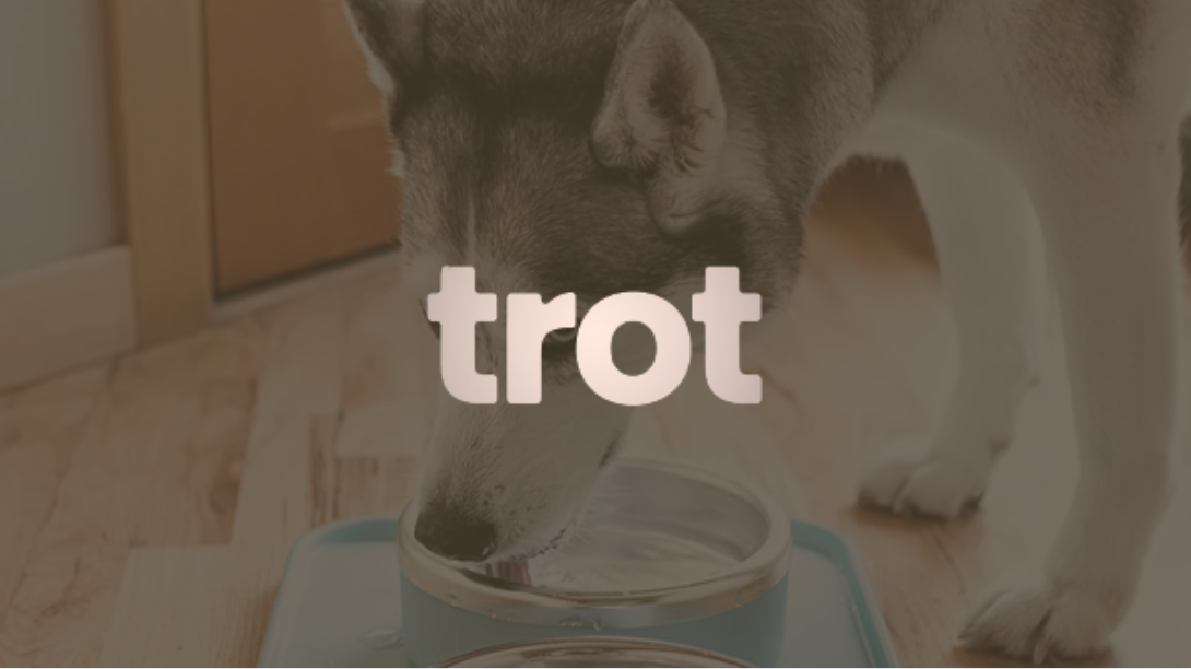 trot