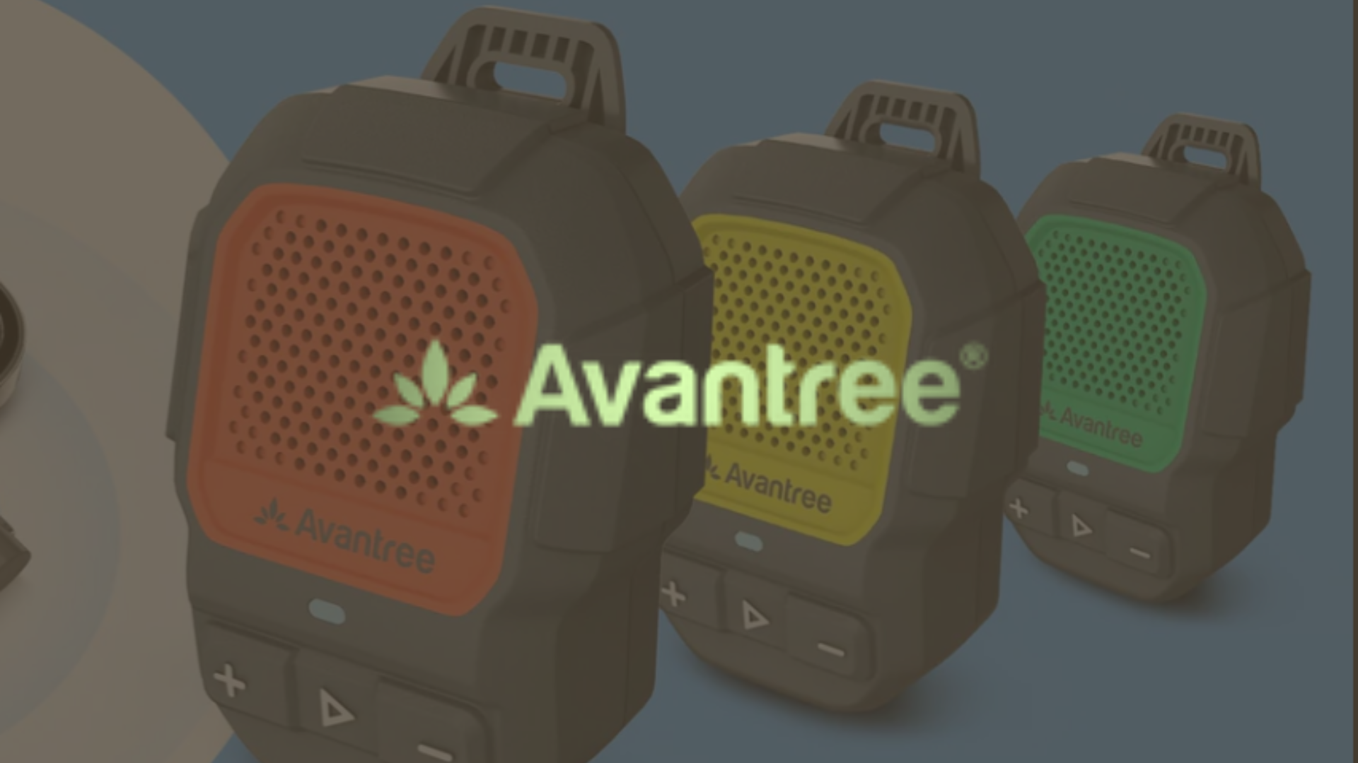 avantree