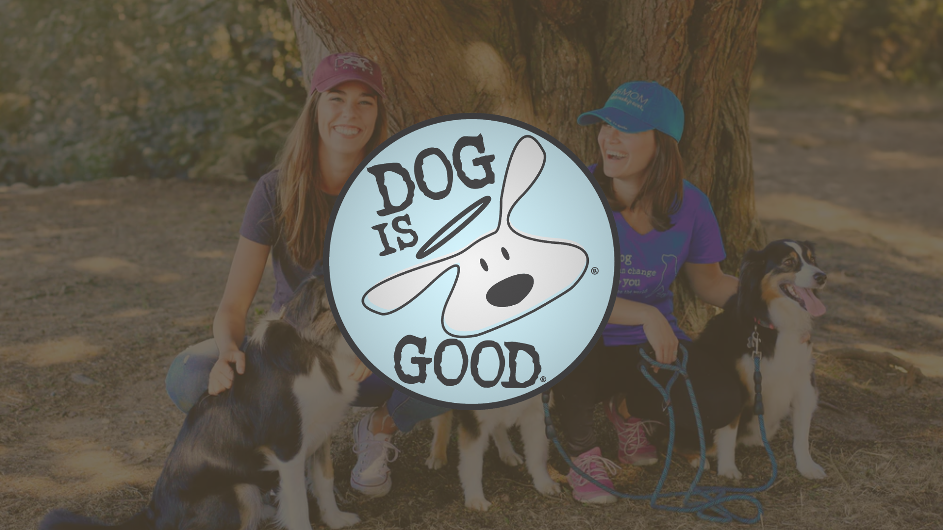 dog is good