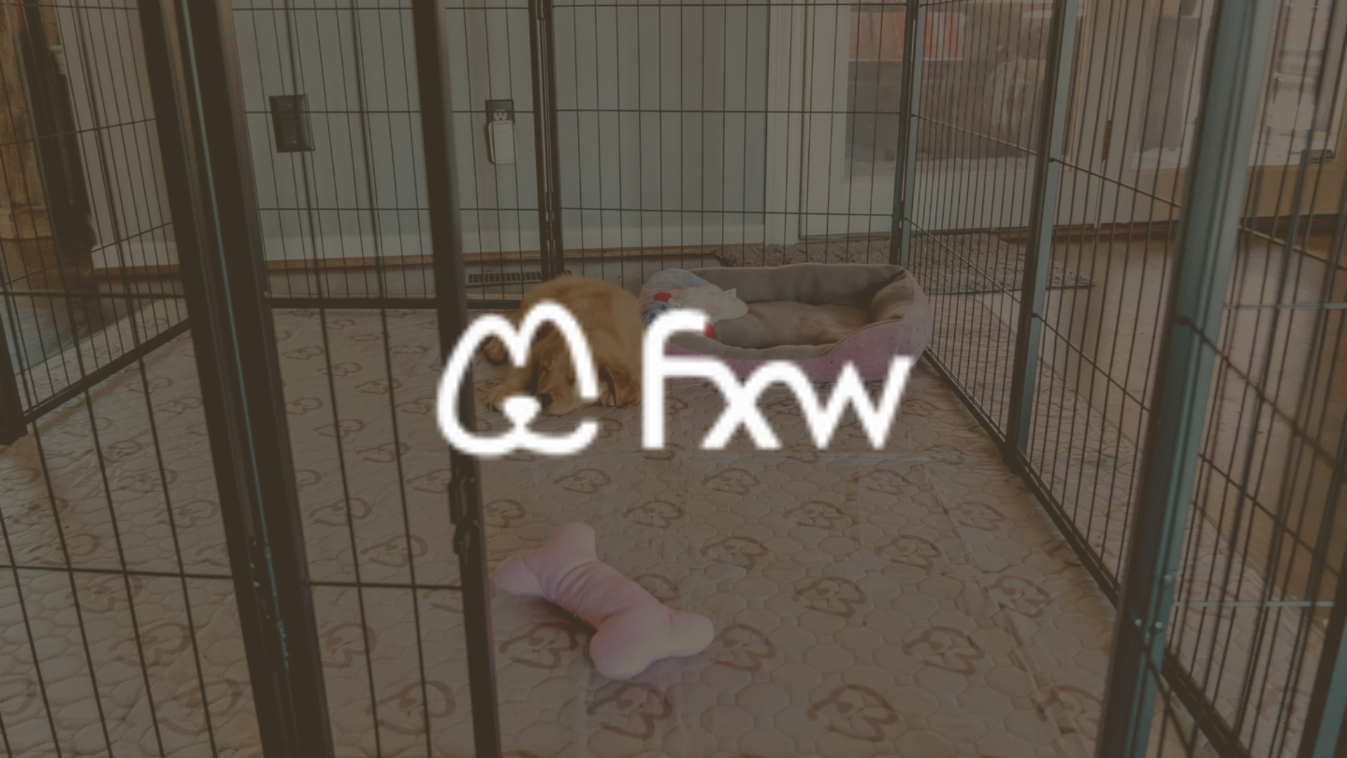 FXW