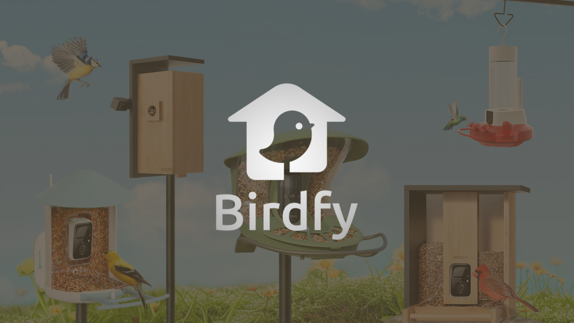 bird