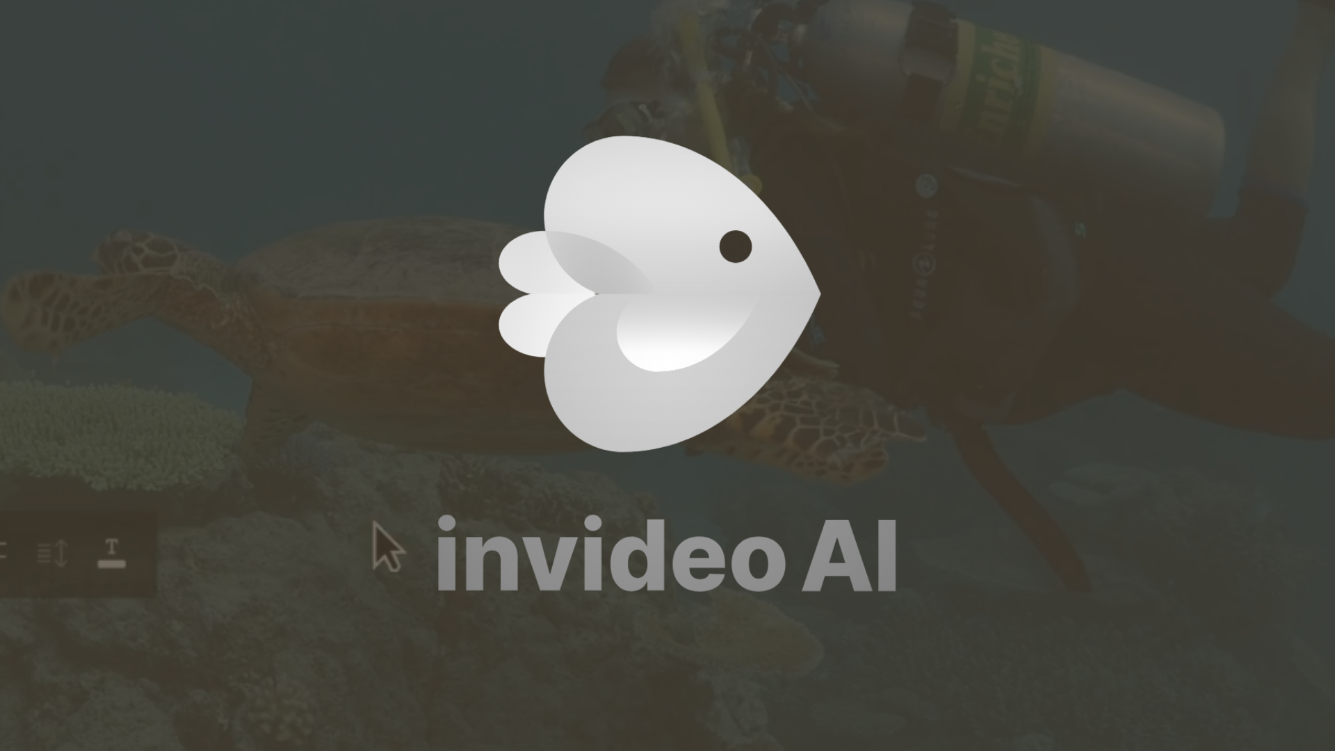 invideo