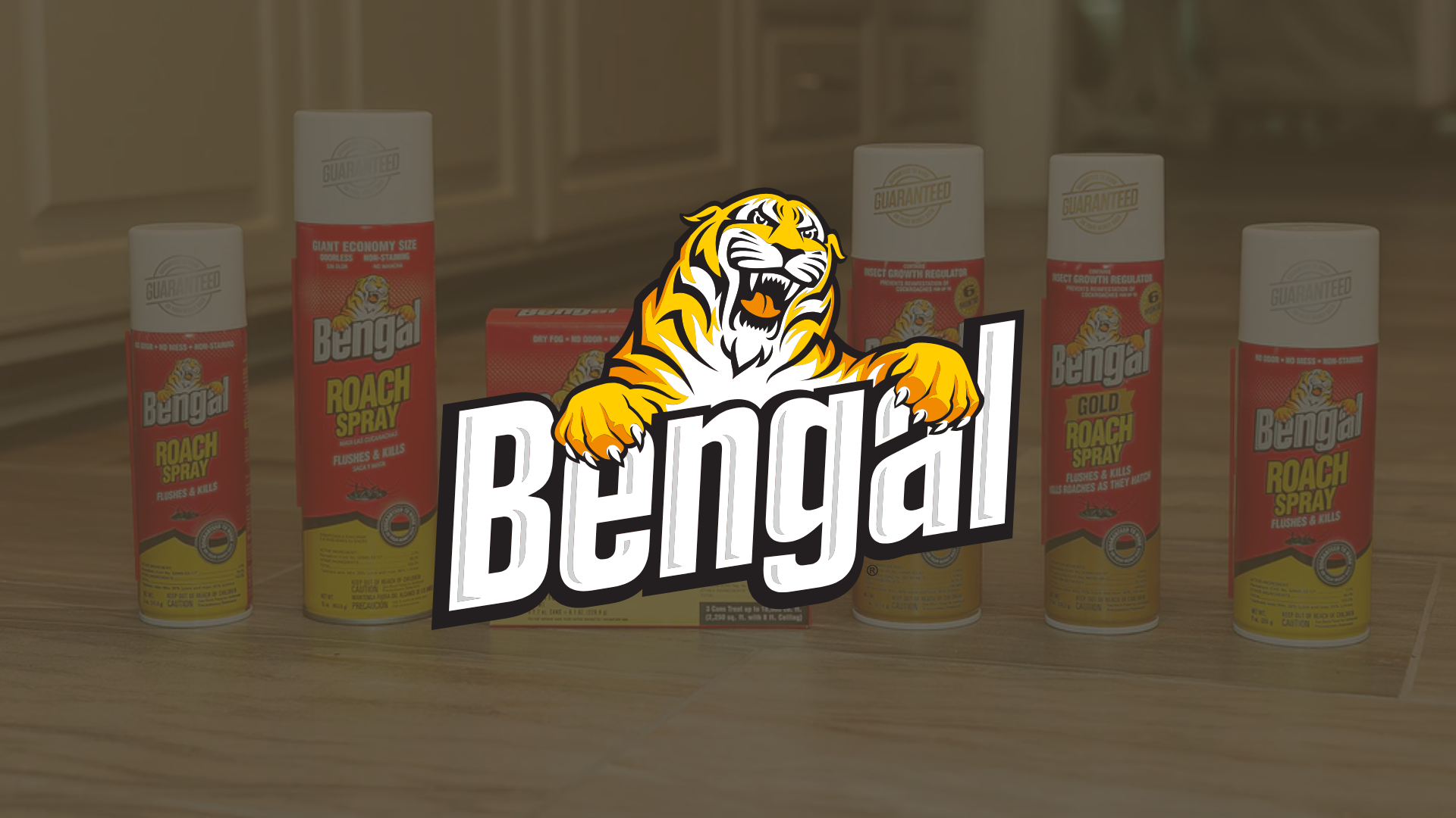 bengal
