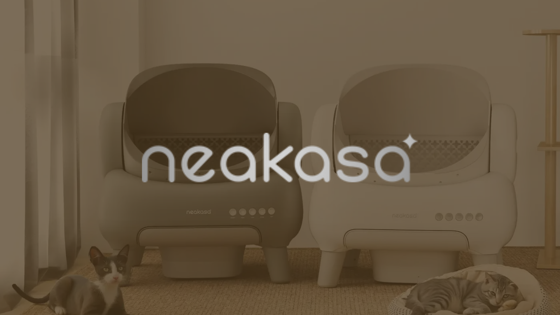 neakasa