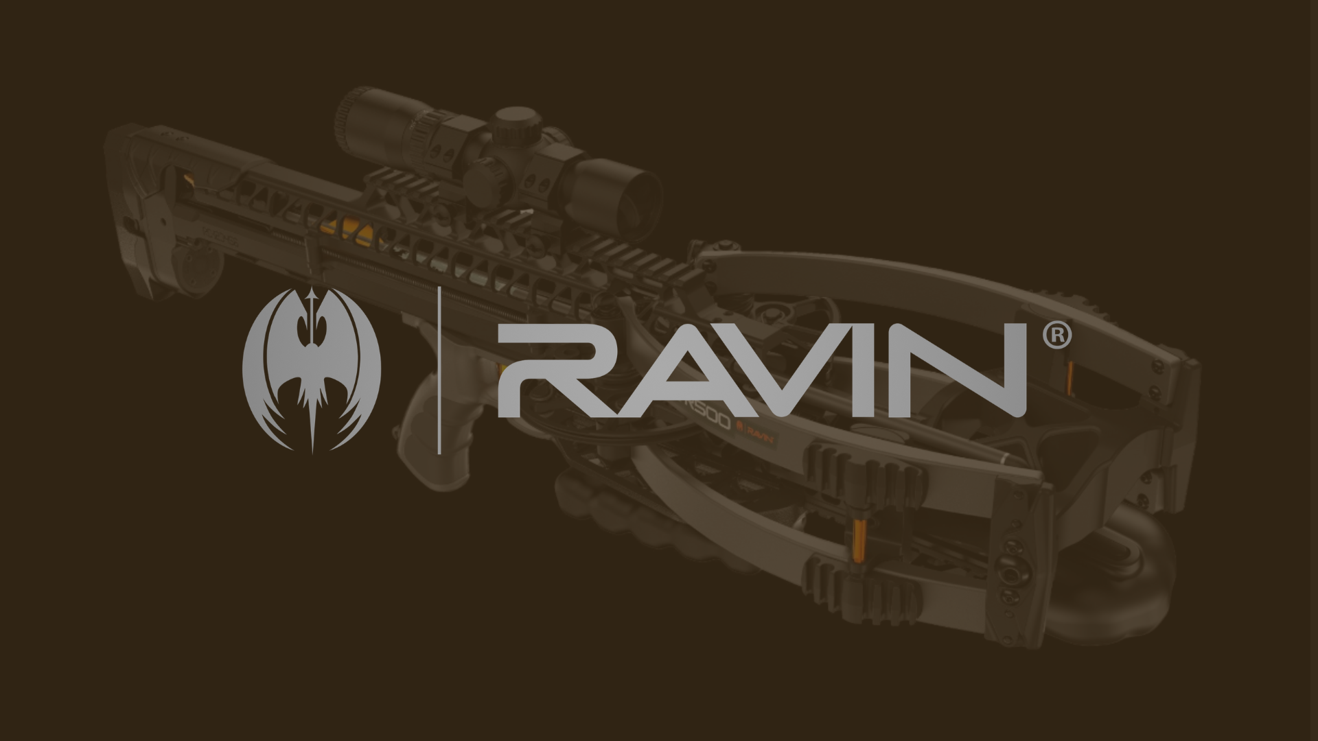 Ravin