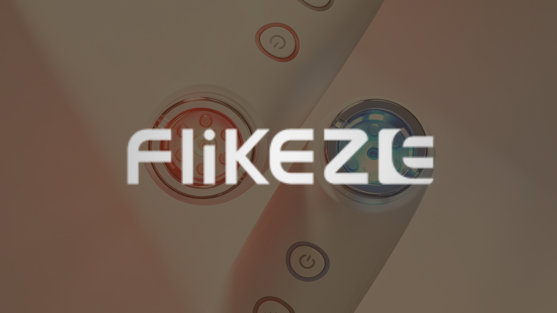 flik